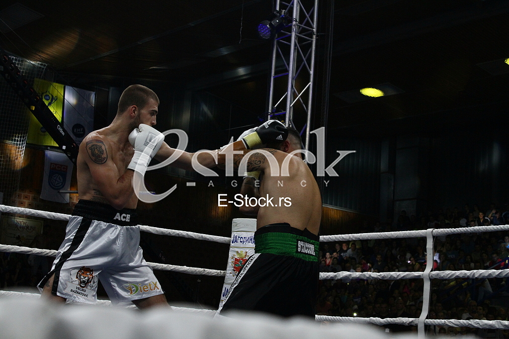 dragan markovic palma, jagodina, bokserski turnir, veljko raznatovic