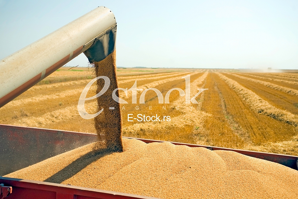 Agriculture
