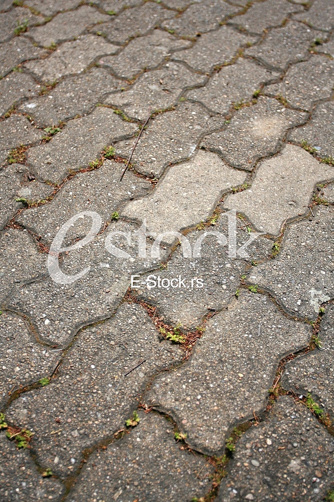 The fragment of a pavement footpath Paving stone with holes