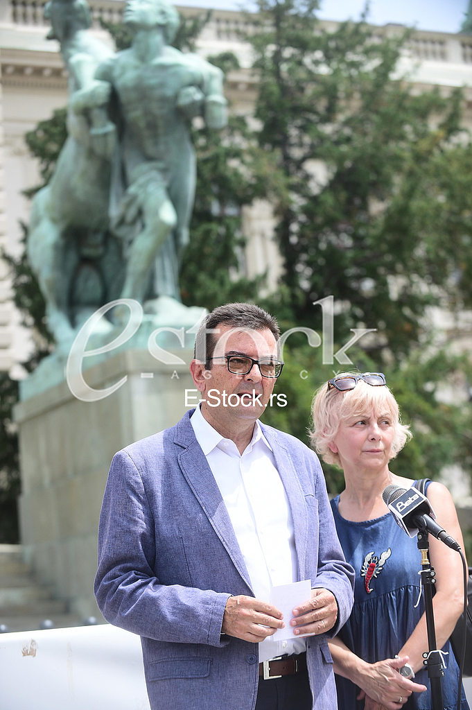 Janko Veselinovic