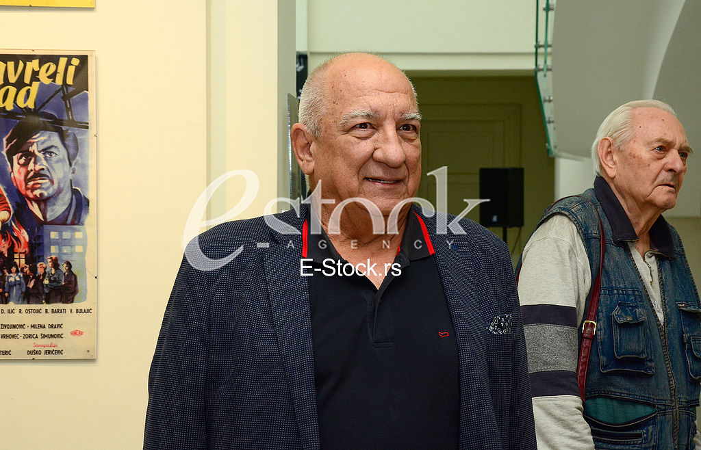 presentation of the book of Velimir Bata Zivojinovic 