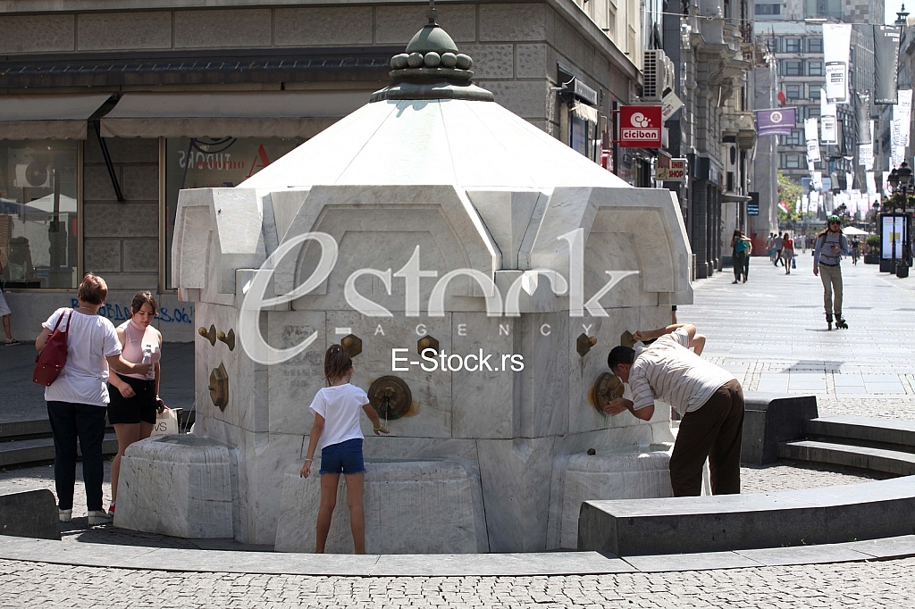 Vrucina u Beogradu Vrucina u Beogradu