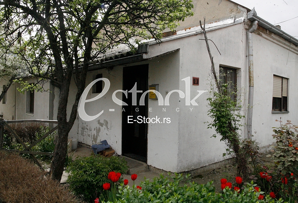 Franc Rojko, murder, Jelena Marjanovic Franc Rojko, murder, Jelena Marjanovic