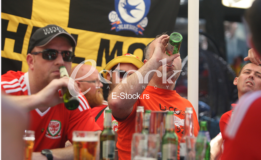 Navijaci Velsa. Navijaci Velsa.