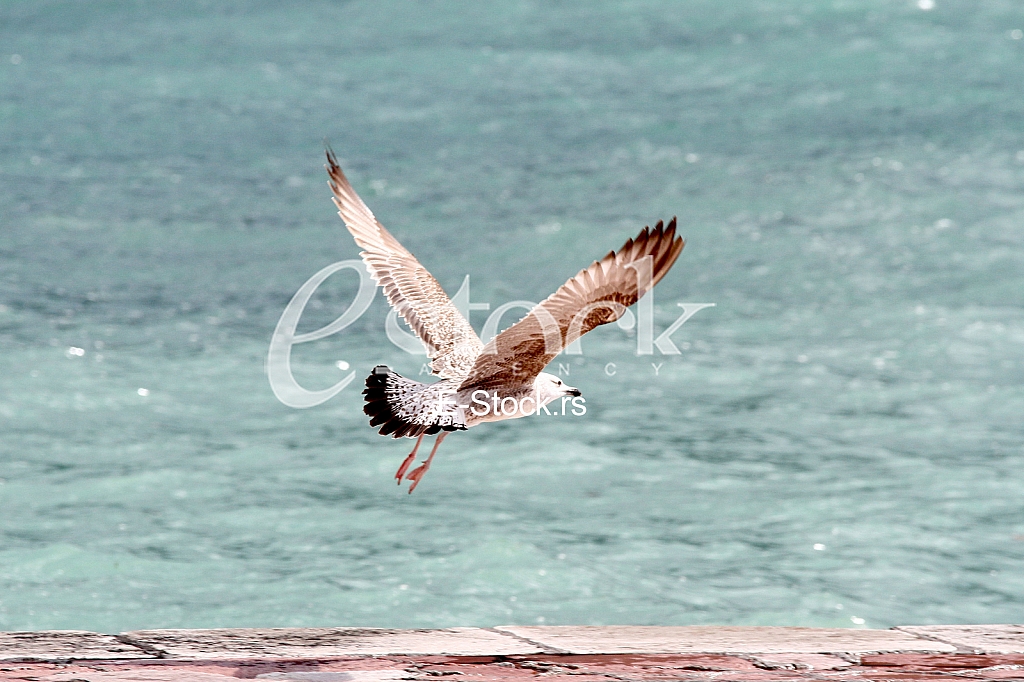 Storms in Montenegro Storms in Montenegro