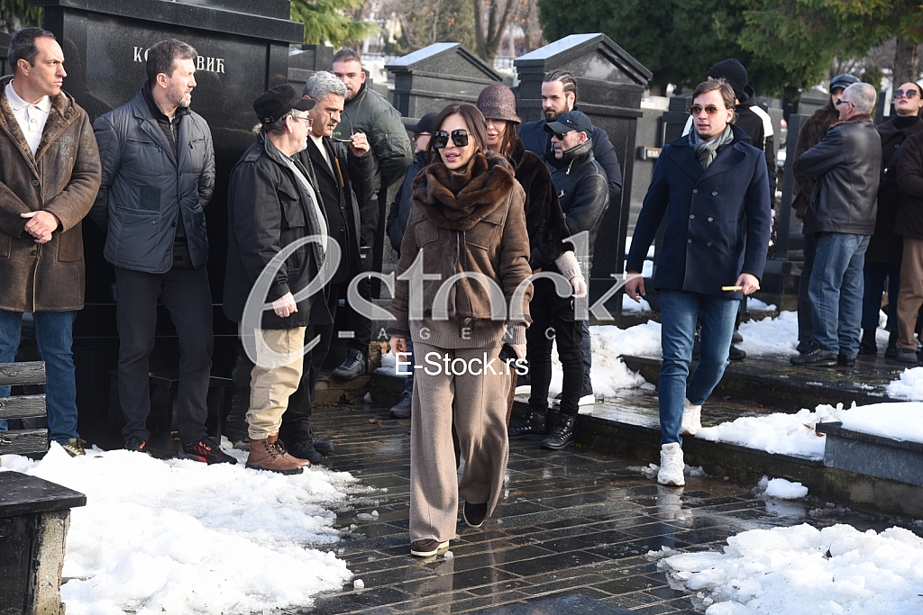 Svetlana Ceca Raznatovic