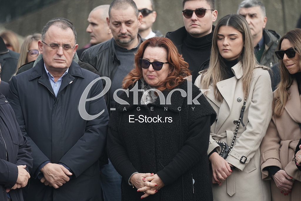 Vladan Zagradjanin, Ana Bekuta