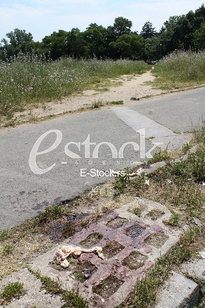 Pokusaj ubistva i samoubistva