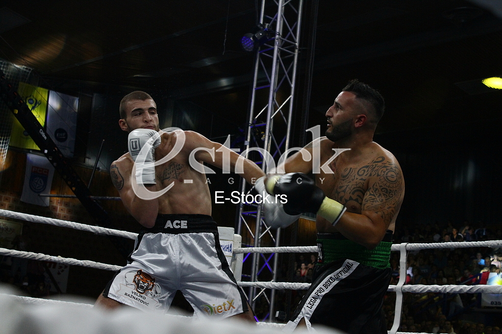 dragan markovic palma, jagodina, bokserski turnir, veljko raznatovic