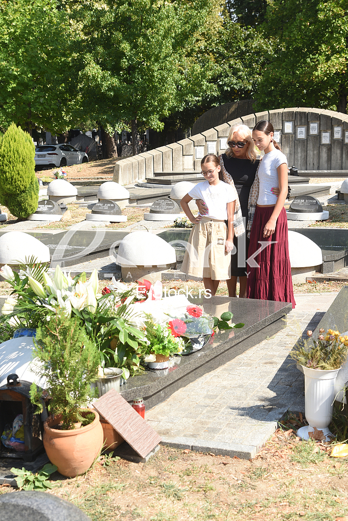 Porodica Saban Saulic