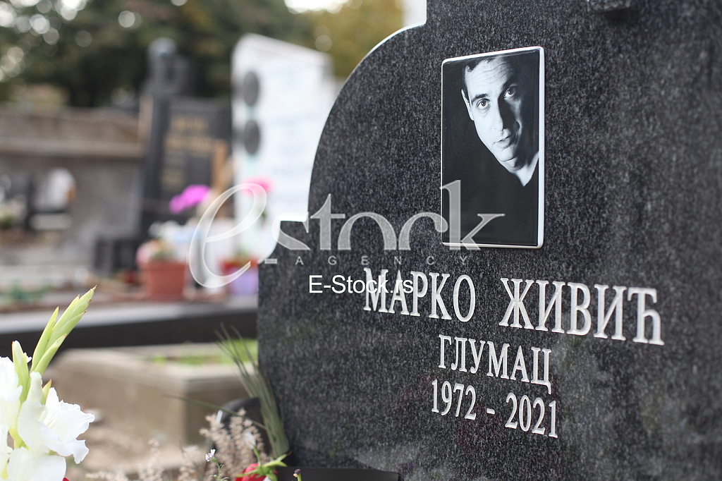 Godisnjica smrti Marka Zivica