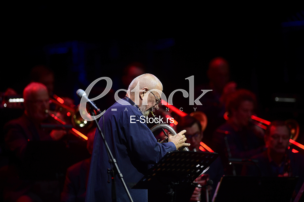 Stjepko Gut