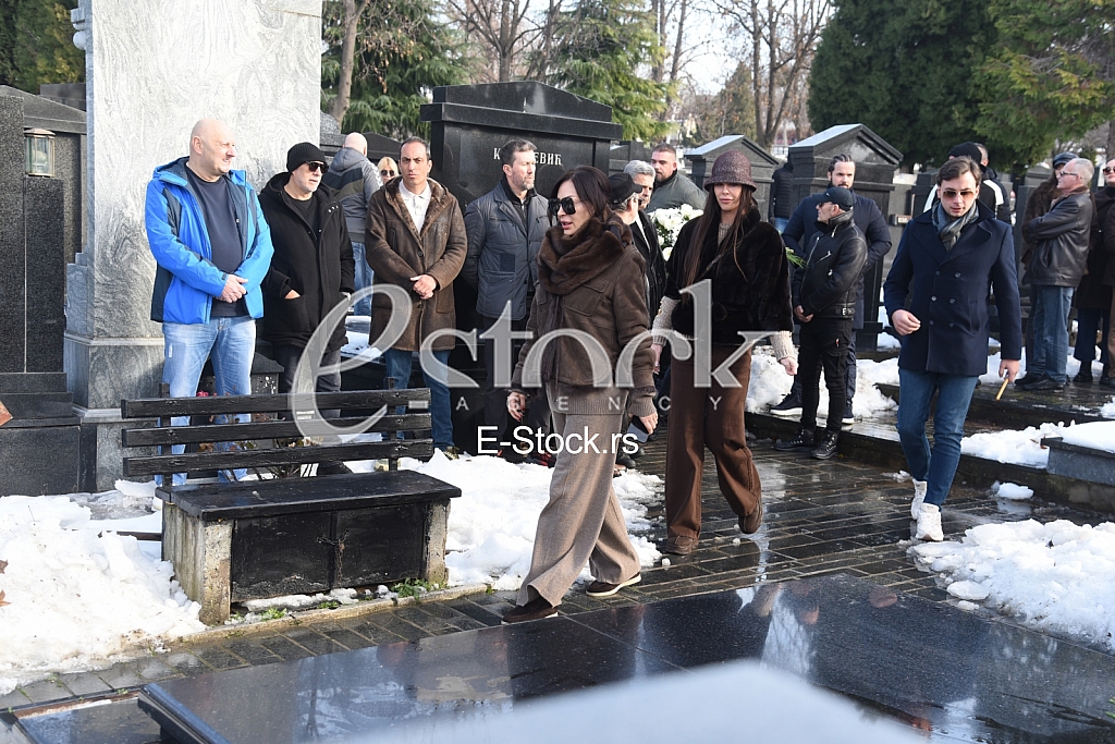 Svetlana Ceca Raznatovic