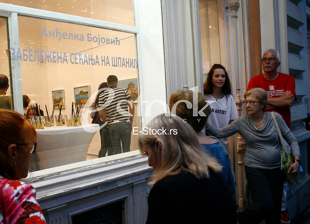 andjelka bojovic, galerija fakulteta likovnih umetnosti