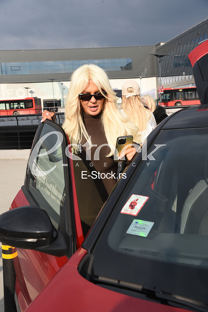 Jelena Karleusa_aerodrom
