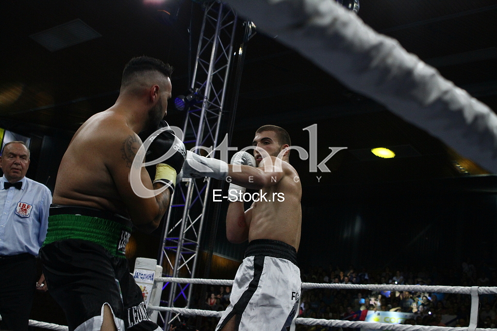 dragan markovic palma, jagodina, bokserski turnir, veljko raznatovic