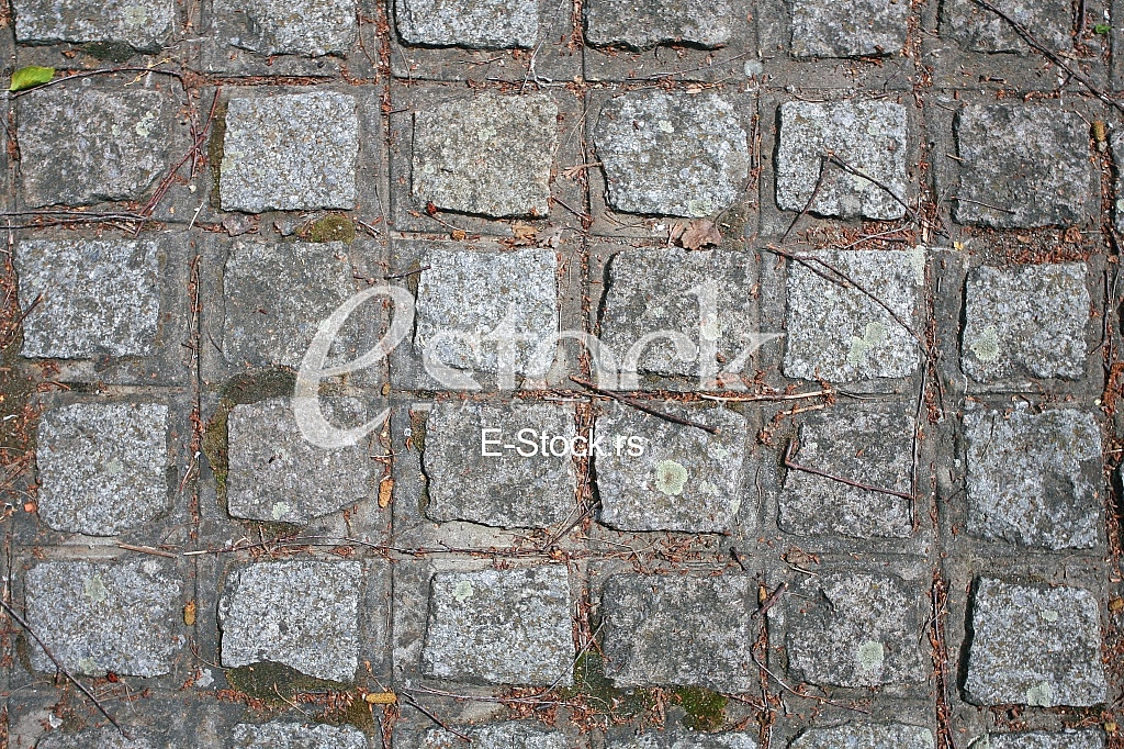 The fragment of a pavement footpath Paving stone with holes