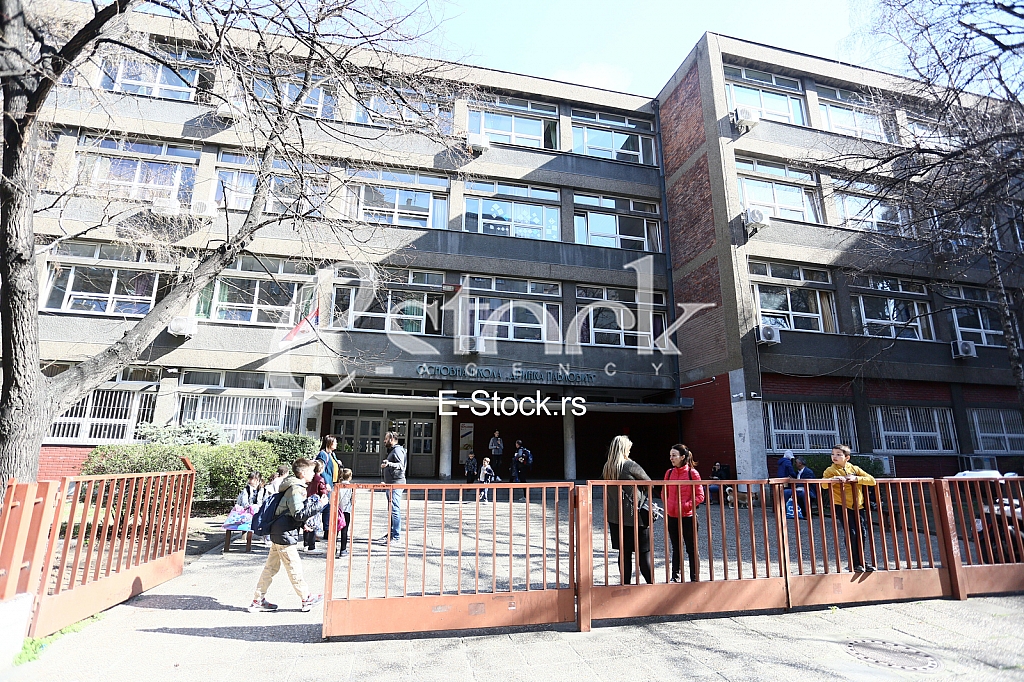 OS Drinka Pavlovic OS Drinka Pavlovic