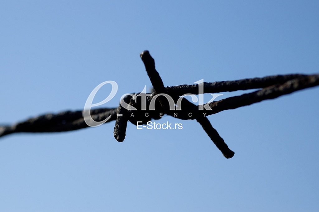 Barbed wire