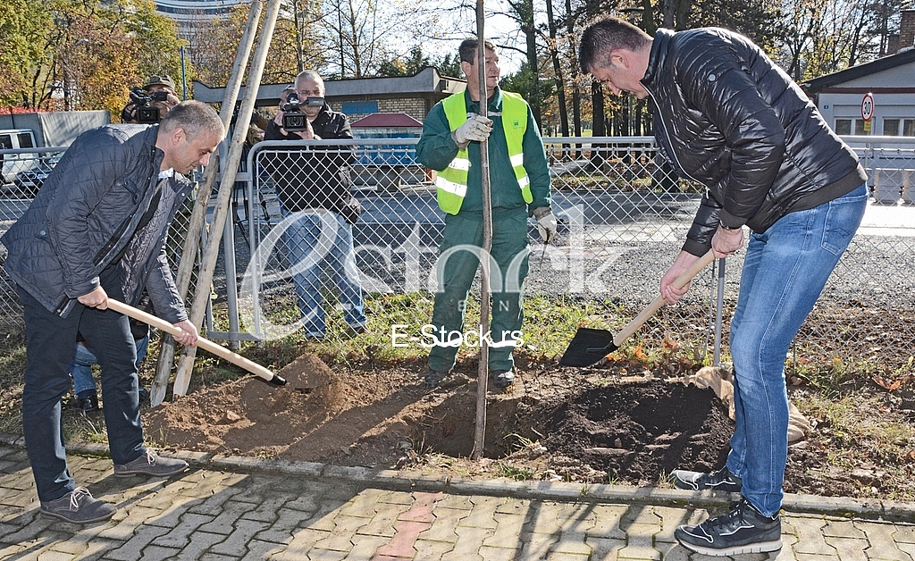 planting trees, military barracks 