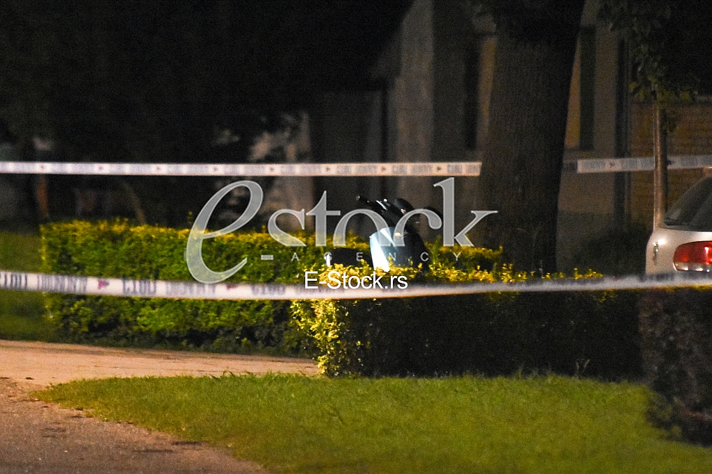 Mario Trtic godfather of Goca Trzan