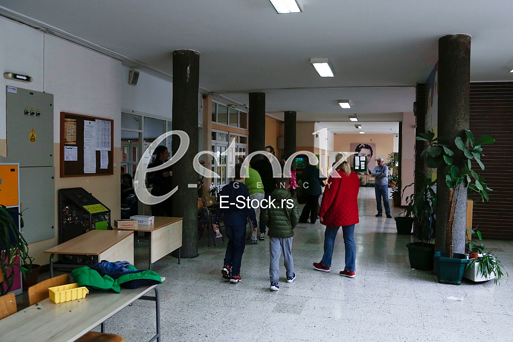 Osnovna skola Drinka Pavlovic