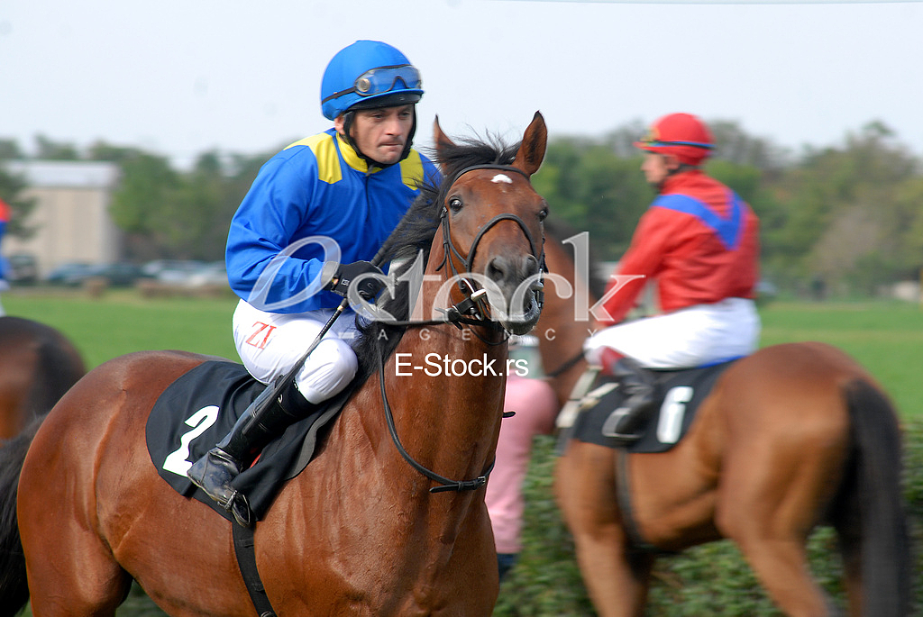 Ljubicevo Equestrian Games
