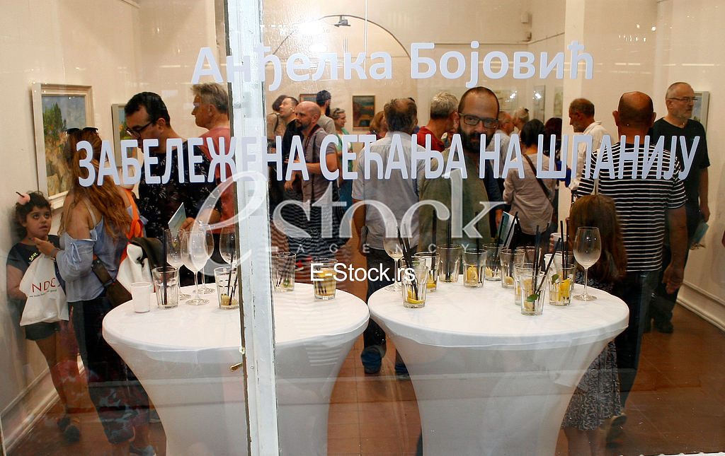 andjelka bojovic, galerija fakulteta likovnih umetnosti