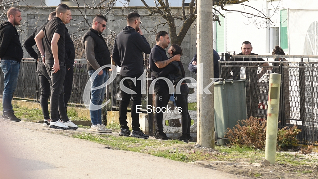 darko lazic katarina