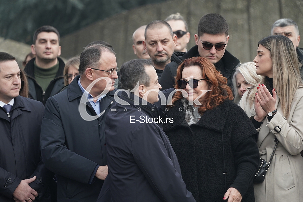 Vladan Zagradjanin, Ana Bekuta i Ivica Dacic