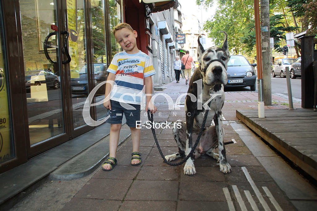 Decak i kucni ljubimac, nemacka doga