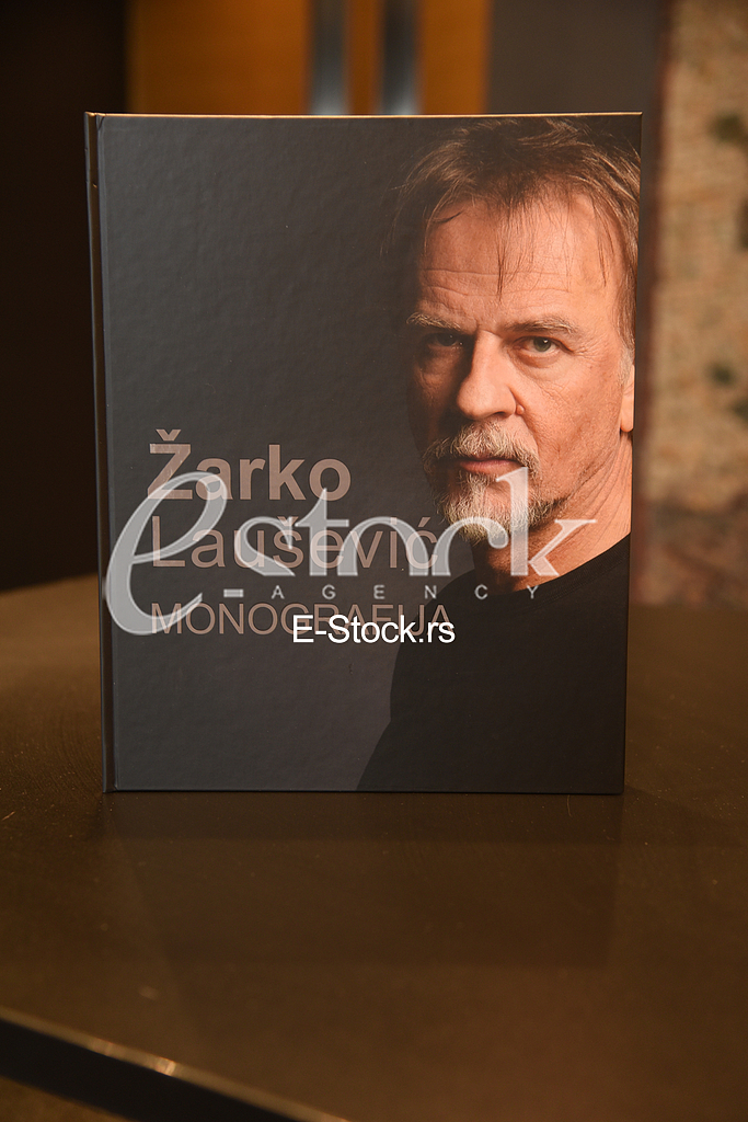 Zarko Lausevic Monografija
