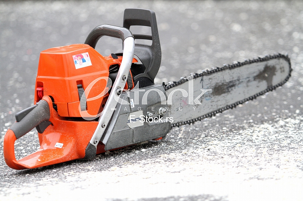 Horticulture Fair Horticulture Fair