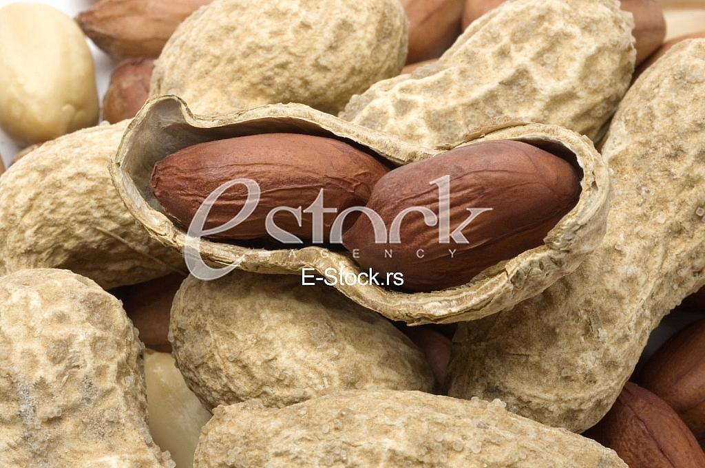 Peanut