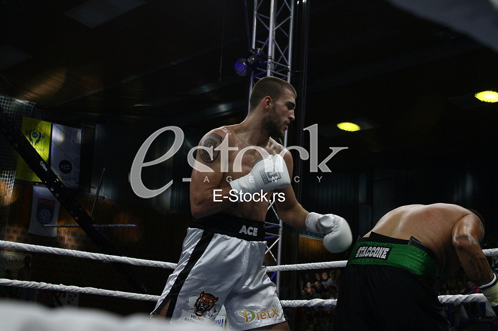 dragan markovic palma, jagodina, bokserski turnir, veljko raznatovic