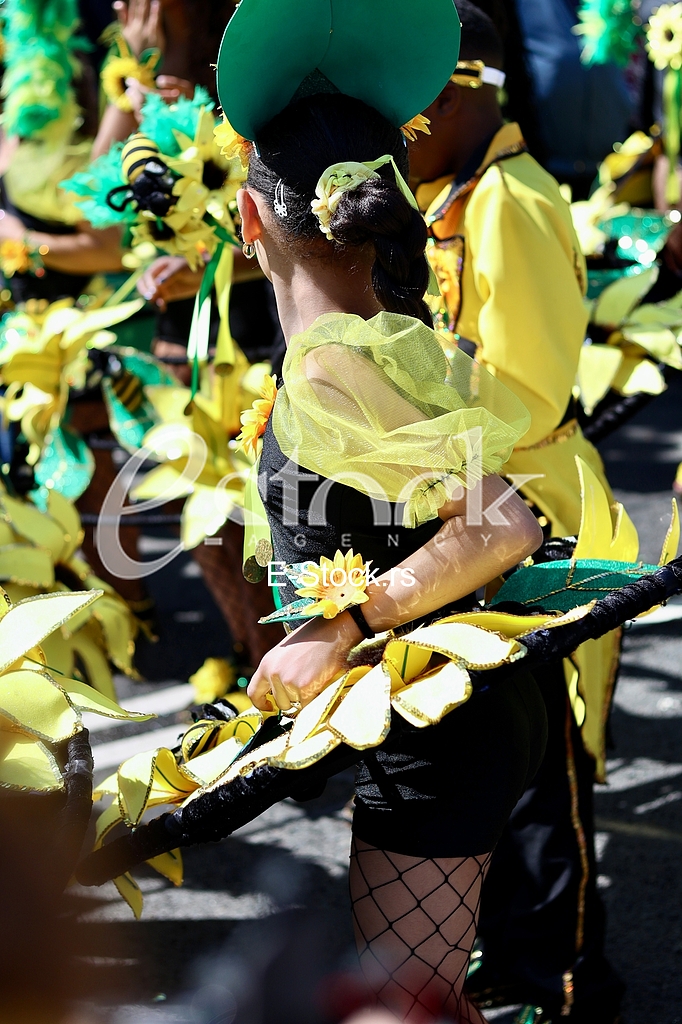 Rotterdam Summer Carnival Street Parade