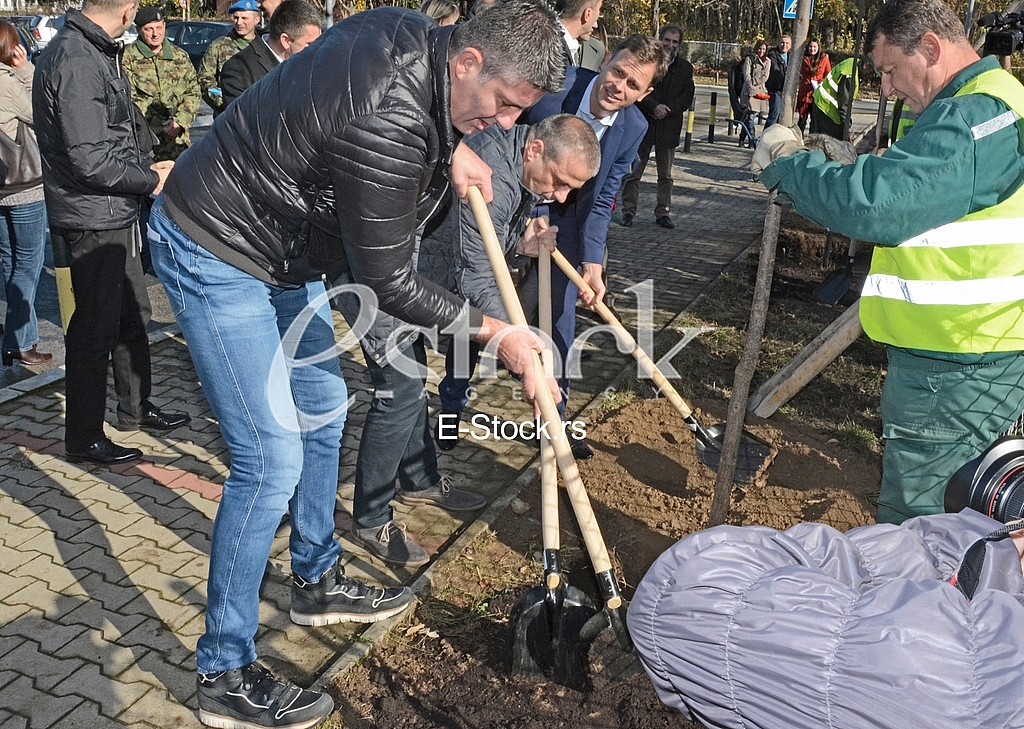 planting trees, military barracks 