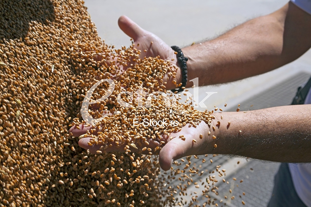 Agriculture