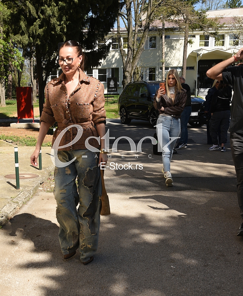 Ceca Raznatovic_Zvezde granda