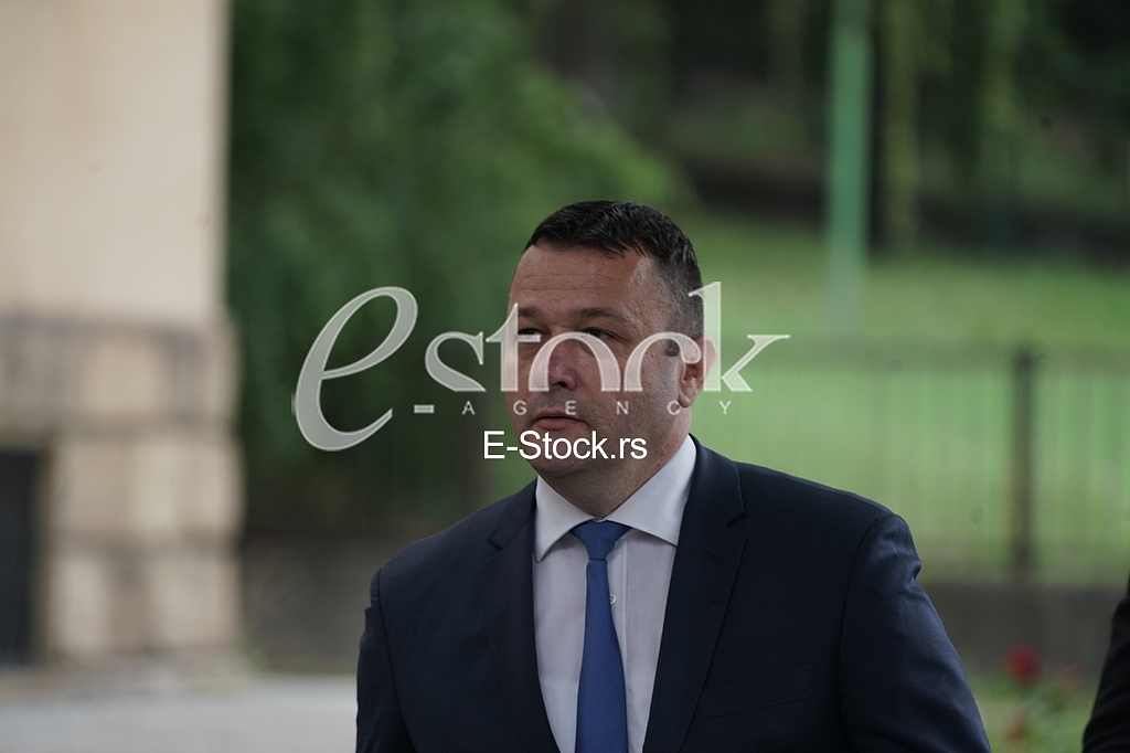 Dejan Milenkovic Bagzi Dejan Milenkovic Bagzi