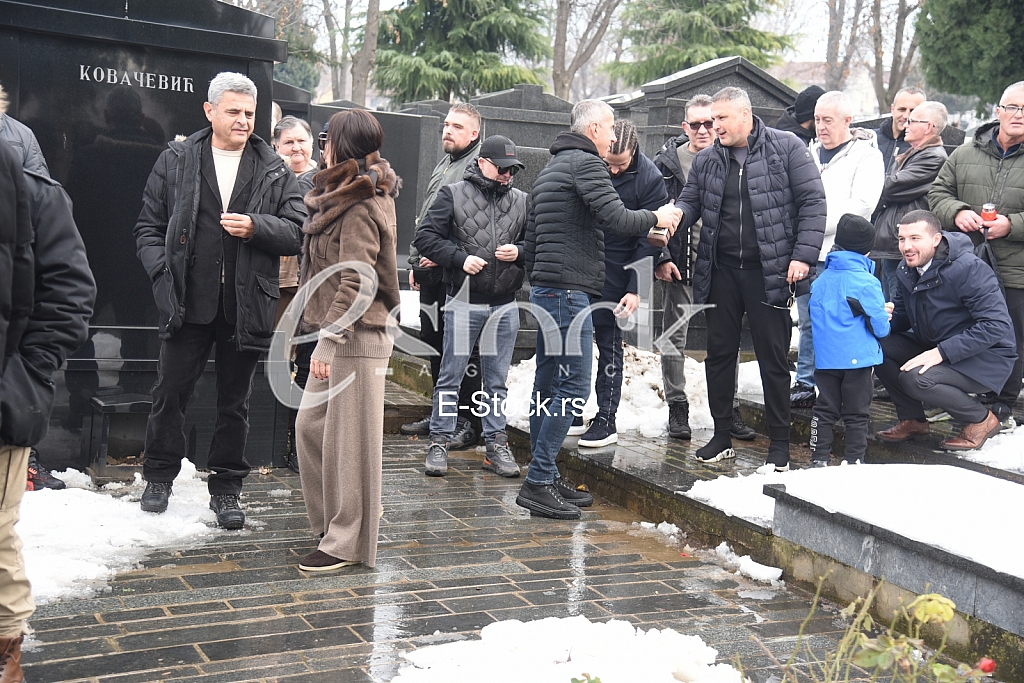 Svetlana Ceca Raznatovic