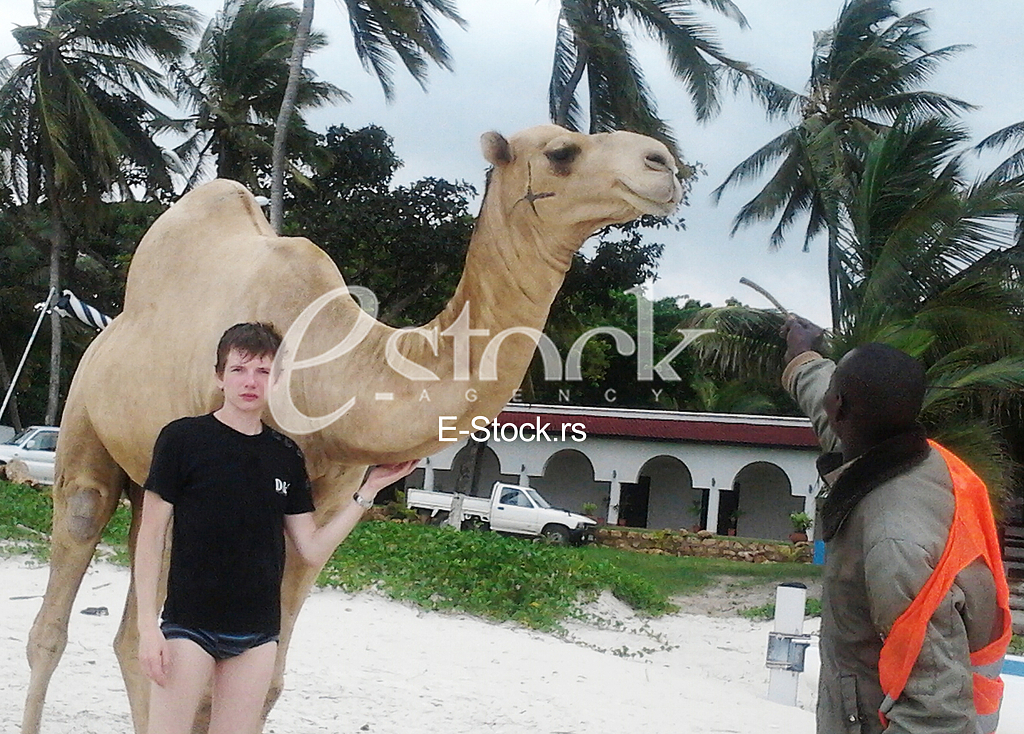 Sasa Milivojev - Mombasa, Kenya