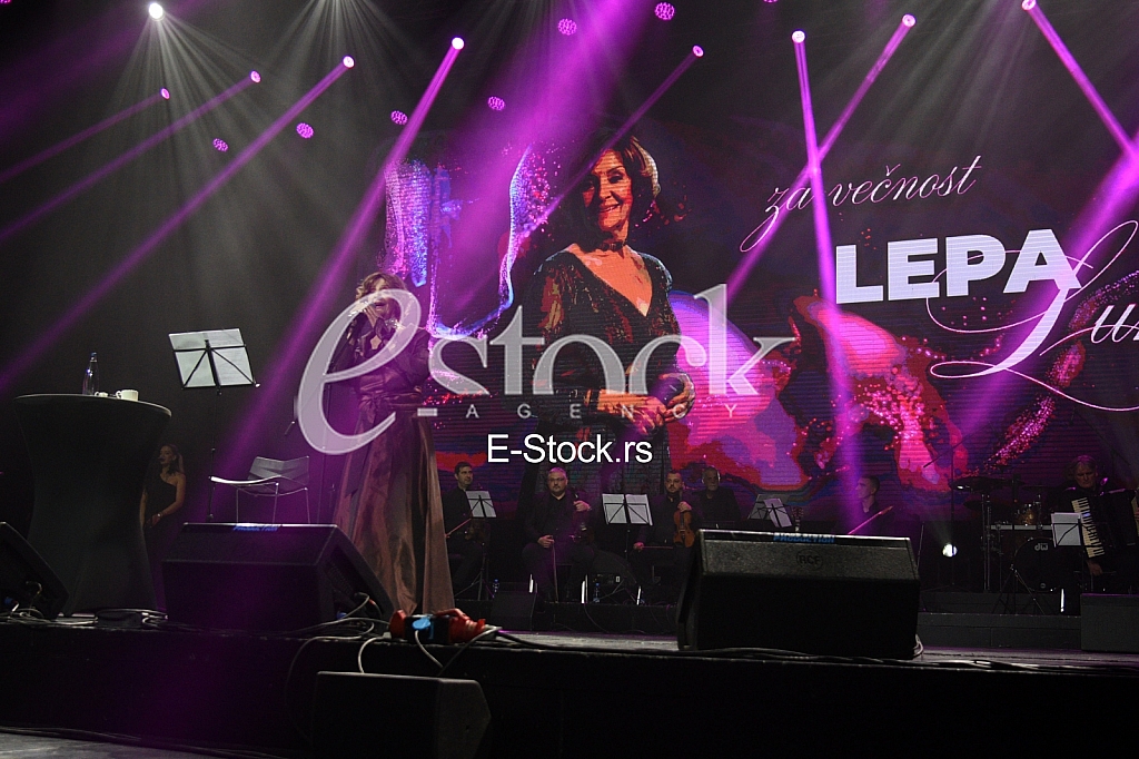 Lepa Lukic