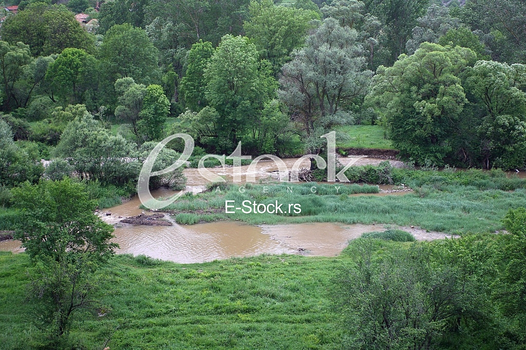 Mountain river flowing at summer forest landscape Mountain river flowing at summer forest landscape