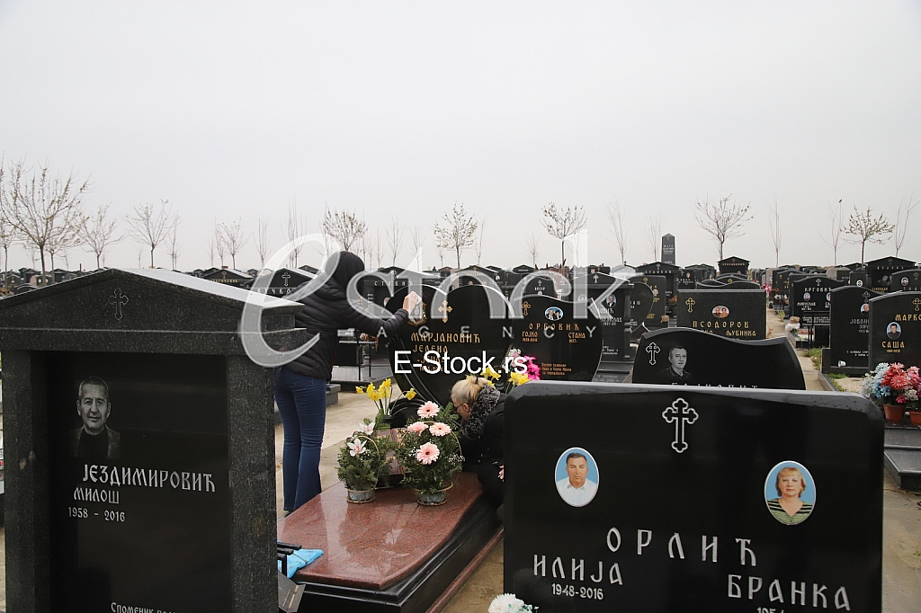 Pomen Jeleni Marjanovic