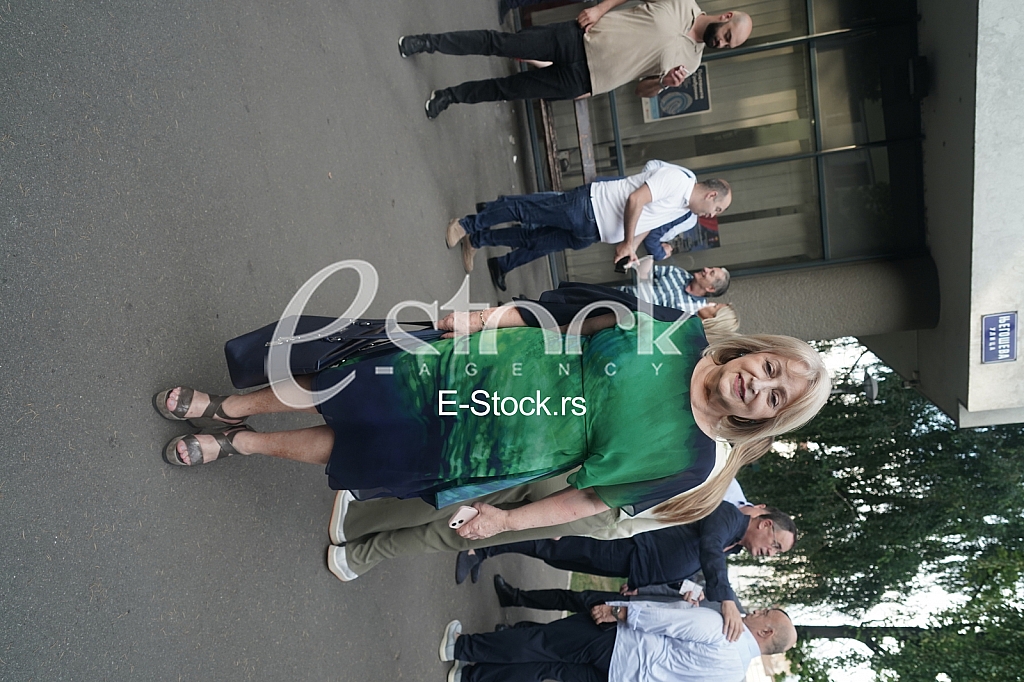 Slavica Djukic Dejanovic Slavica Djukic Dejanovic