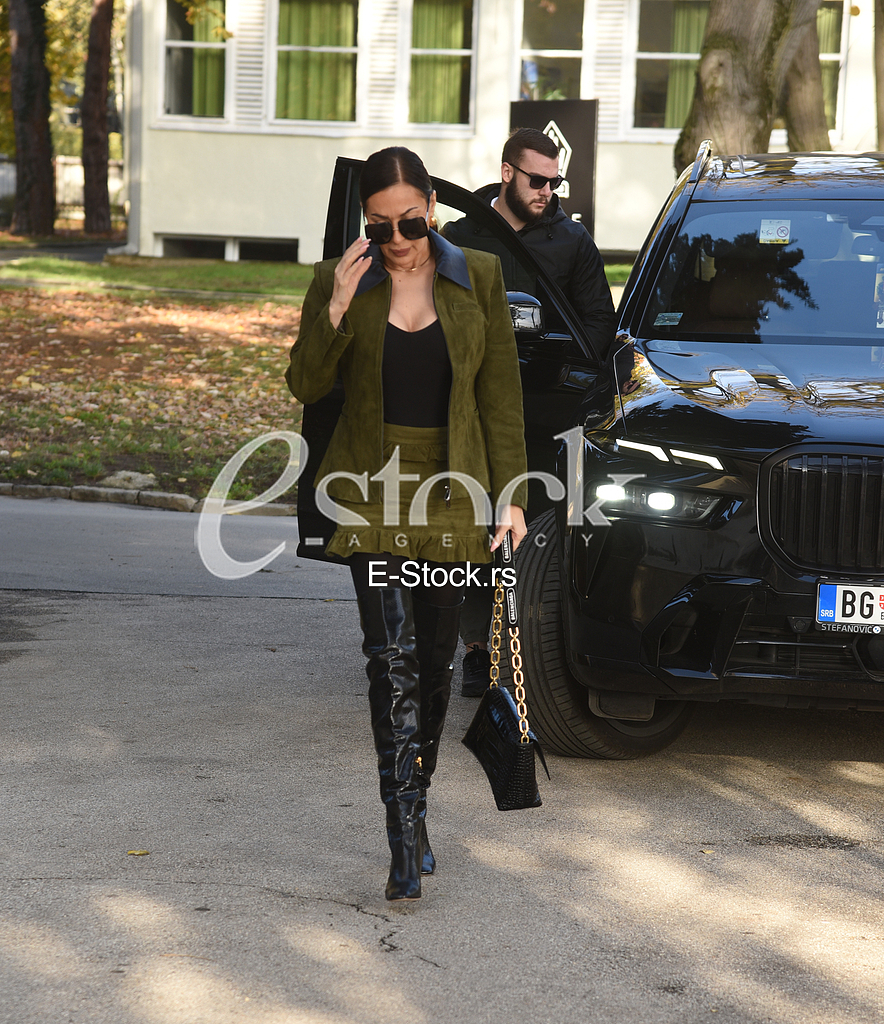 Svetlana Ceca Raznatovic