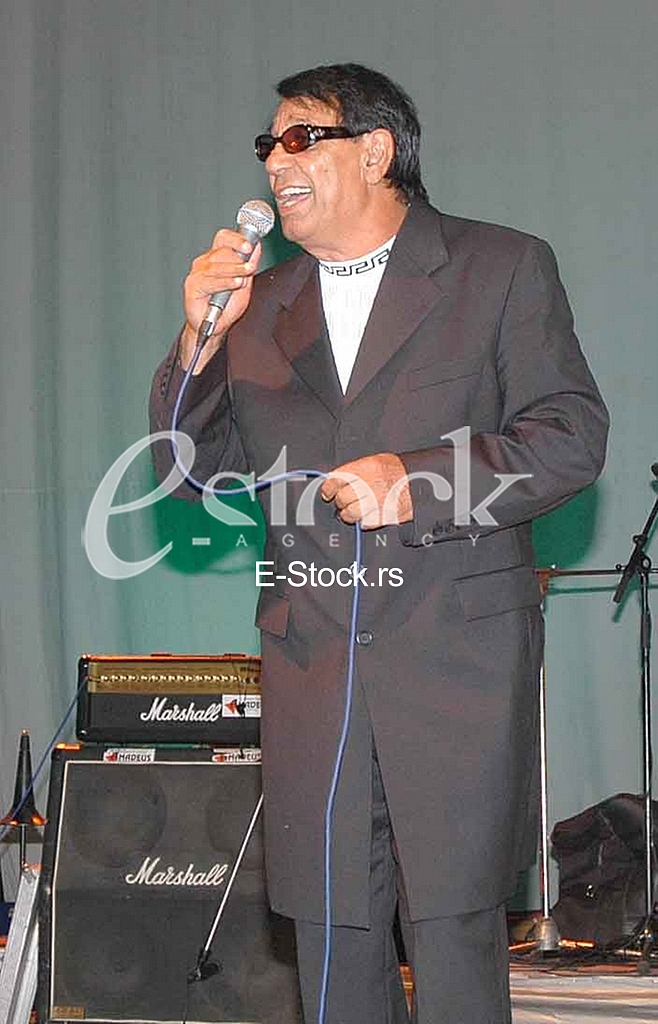 Saban Bajramovic