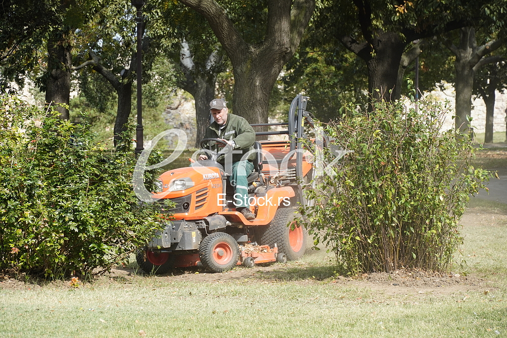 JKP Zelenilo Beograd