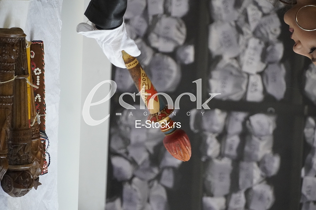 Dan mladosti Dan mladosti